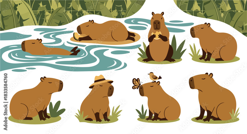 Fototapeta premium Capybaras in water and grass, various poses