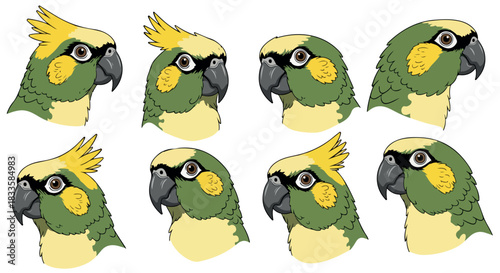 Parrot heads multiple views with transparent background