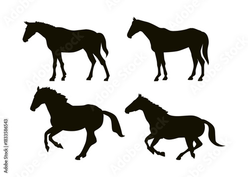 Horse Silhouette Collection Wild Animal Vector Set for Sport, Farm, and Nature Themes