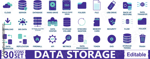 30 Data Management Icons: Hard Drive, SSD, Memory, API, Metrics, Data Transfer & Migration Symbols for Application Interface and Digital Infrastructure.