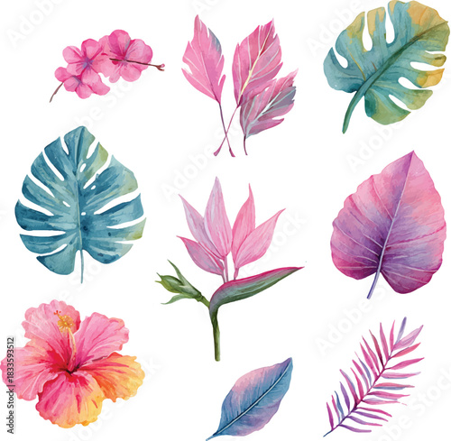 set of pink hibiscus and green leaves