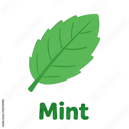 Green Mint Leaf Icon With Text Flat Design