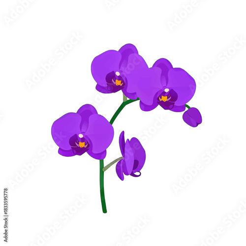 Vibrant Purple Orchid Flower Vector Illustration