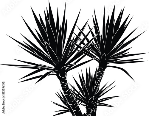 Black silhouette vector illustration of a mature Yucca or Agave plant with sharp, spiky leaves and multiple 