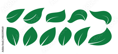 Set of 10 Green Leaves Icon and Logo Elements | Simple Nature, Eco, Organic, and Plant Vector Graphics Collection