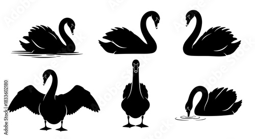 Collection of Black Swan Silhouettes in Various Poses.