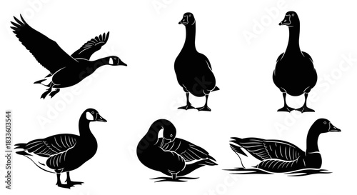 Collection of Canada Goose Silhouettes in Various Poses.