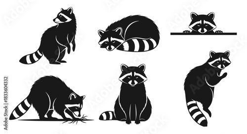 Set of Raccoon Silhouettes in Various Poses.