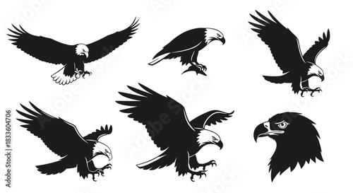 Collection of Bald Eagle Silhouettes in Various Poses and Close-up Head Shot.