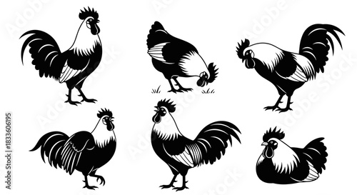 Collection of Roosters in Black and White Silhouette Style.