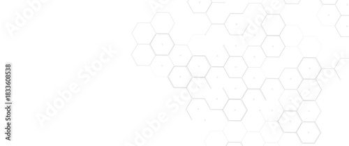 Vector Modern Tech Hexagon Network Corner Background