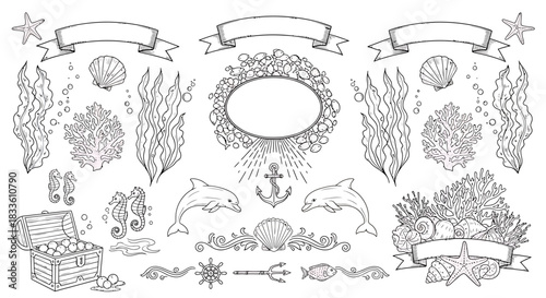 Detailed Ocean Life Illustrations - Seaweed, Dolphins, Coral, and Treasure Chest.