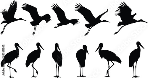 Black footprint silhouettes collection set, human bare foot steps or track pattern, walking pathway sign, vector illustration element design isolated on white background