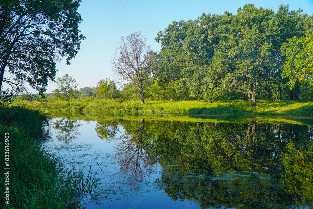Fototapeta premium A small river or lake with blue water and a green forest on the shore under a blue sky. Summer landscape