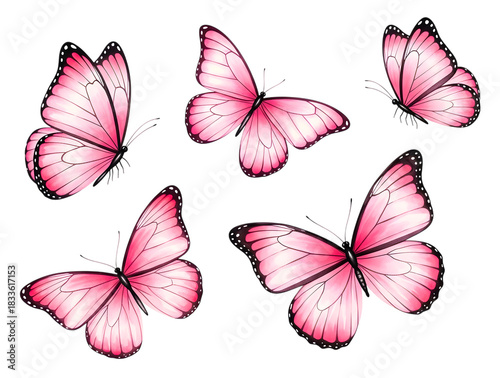 Five pink butterflies isolated on transparent background