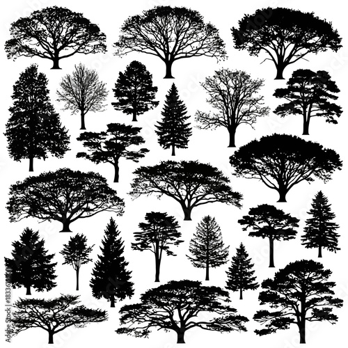 Collection of various types of trees with different shapes and sizes isolated on