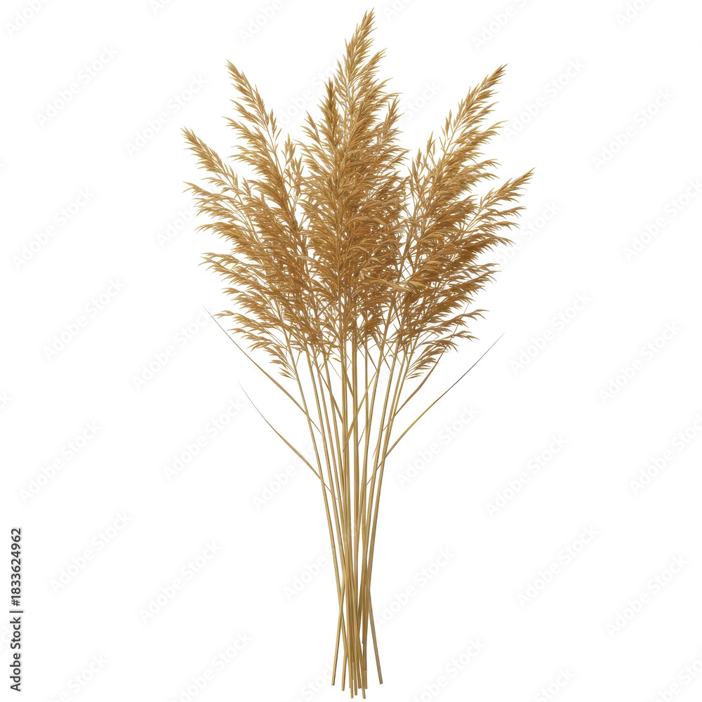 Fototapeta premium Golden pampas grass bouquet, dried floral arrangement, autumnal hues, elegant design isolated on white background