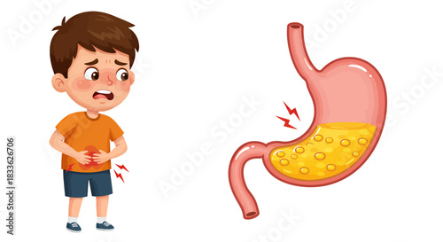 A distressed young boy clutches his stomach, accompanied by a detailed illustration of a stomach, both depicting symptoms of a digestive ailment, visualized as a vector png.