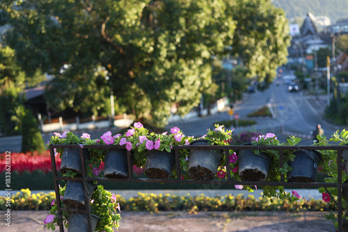 Fototapeta Naklejka Na Ścianę i Meble -  Serene outdoor view from garden with pink flower. In background street runs through small town with large tree, peaceful moment from nature