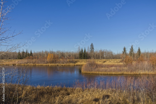 A Sunny Autumn Day at Pylypow