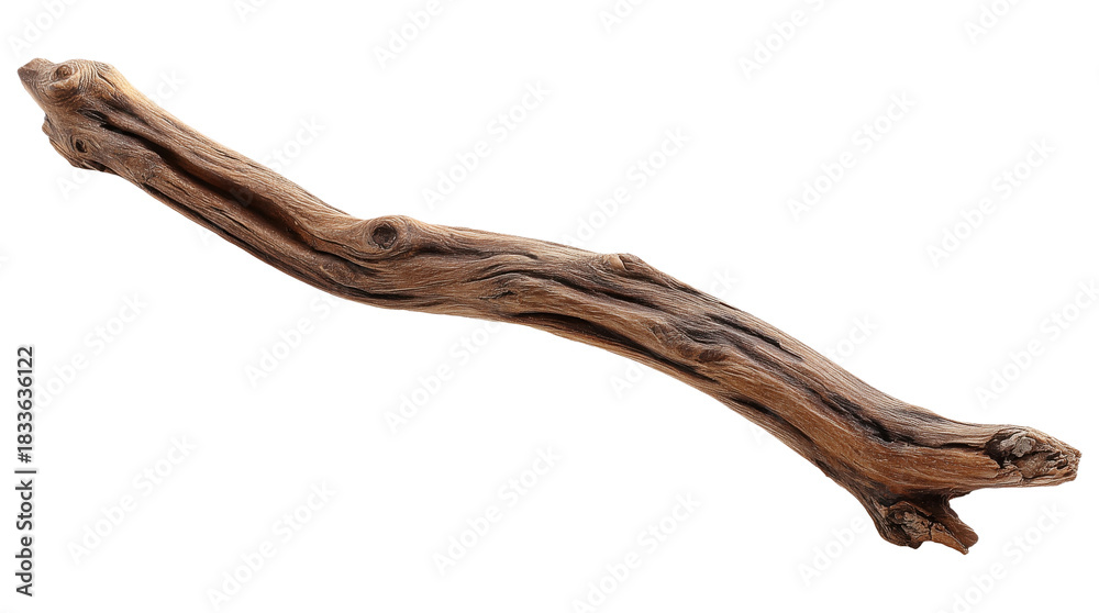 Fototapeta premium Smooth weathered driftwood with elegant curved shape and natural wood grain texture, isolated on transparent background