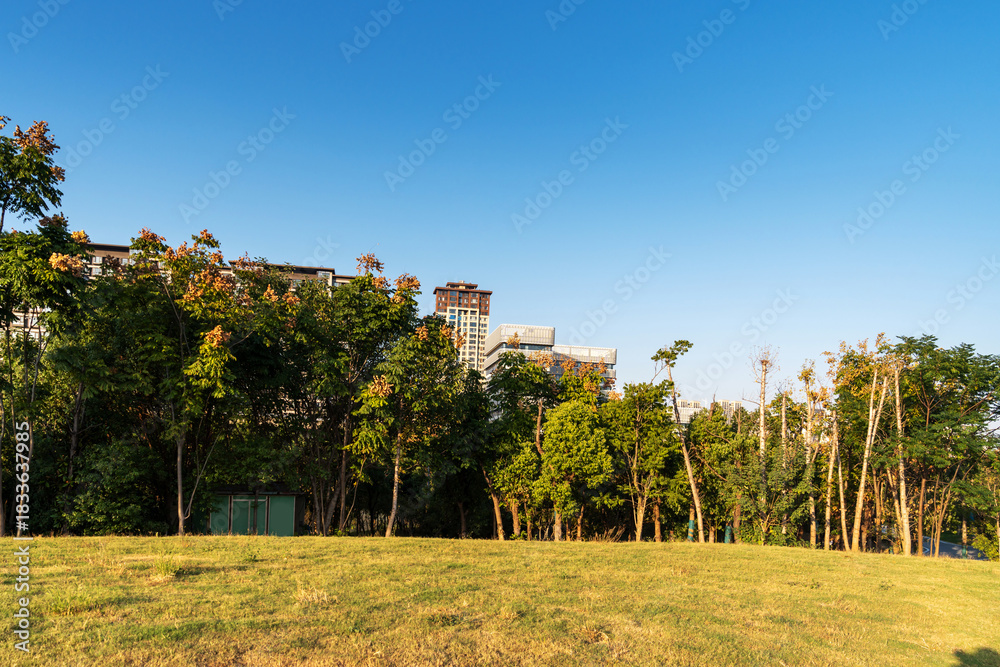 Obraz premium spring park and modern city