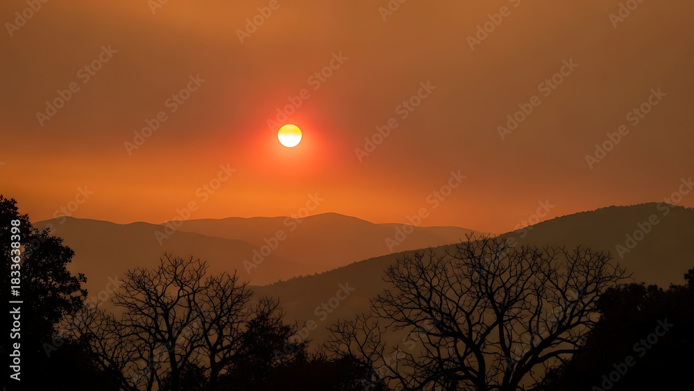 Fototapeta premium Golden hour haze over rolling hills, silhouetted trees framing the setting sun