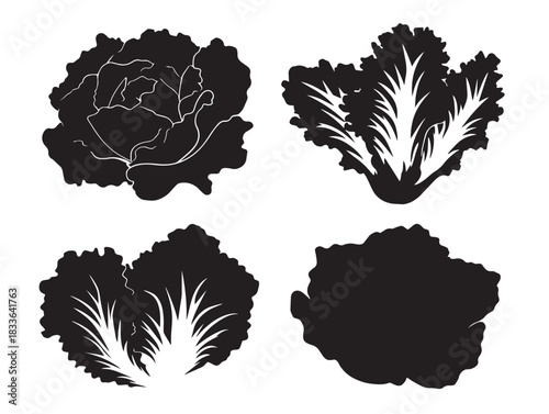 A gorgeous set of four simple lettuce silhouette vector icons in solid black