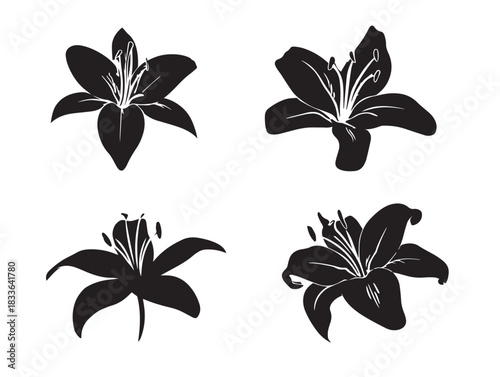 A stunning set of four beautiful lily silhouette vector icons in solid black