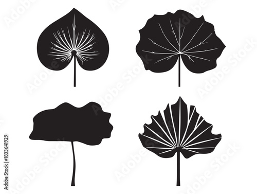 A stunning set of four detailed lotus leaf silhouette vector icons