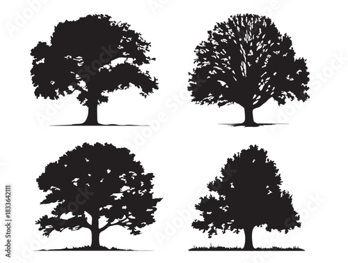 A stunning set of four beautiful maple tree silhouette vector icons