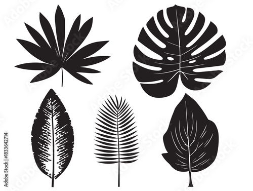A stunning set of four detailed tropical palm leaf silhouette vector icons