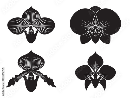 A stunning set of four exotic orchid flower silhouette vector icons