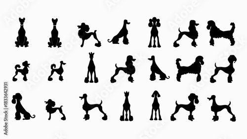 Charming silhouettes of playful poodle breeds showcasing their unique styles, ideal for pet designs, logo creation, and animal-themed projects