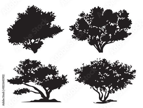 A beautiful set of four nice shrub silhouette vector icons in black