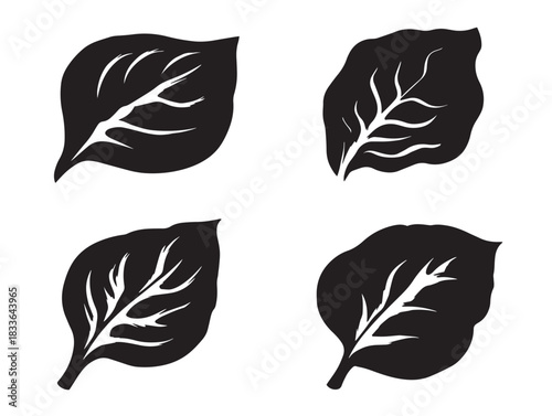 A stunning set of four beautiful spinach leaf silhouette vector icons