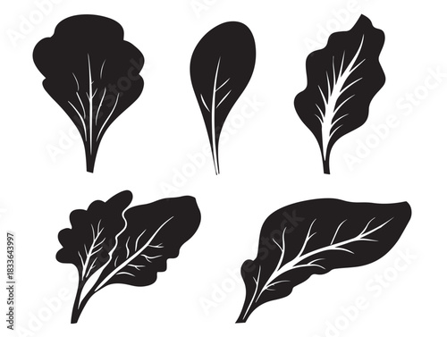 A gorgeous collection of four simple spinach leaf silhouette icons