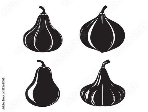 A gorgeous set of four squash silhouette icons in solid black