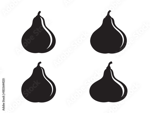 A beautiful collection of four nice squash silhouette vector icons