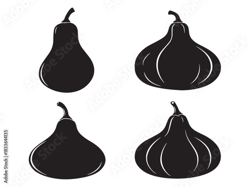 An elegant group of four simple squash silhouette icon designs