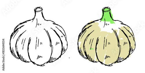 Grunge Sketch Handdrawn Garlic Vector Ideal for rough food, cooking, and expressive culinary graphics with a gritty texture. Symbolizes natural produce, strong seasoning, and sketch style.