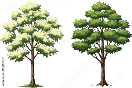 Tree illustration, green foliage, nature background, botanical drawing, leafy canopy, eco concept, forest design, seasonal growth, natural landscape, environmental art