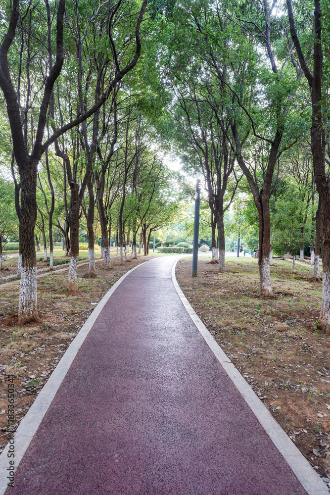 Obraz premium The road of City Park in China