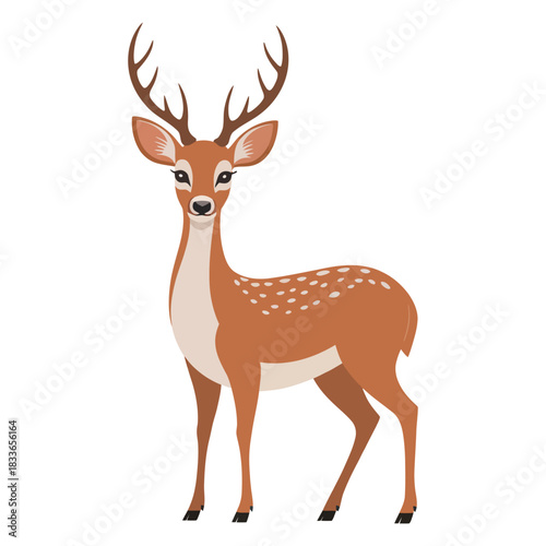 deer vector illustration