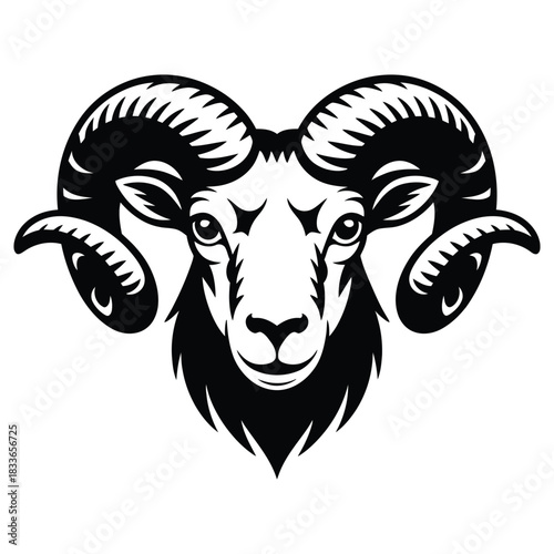 vector illustration of a bull