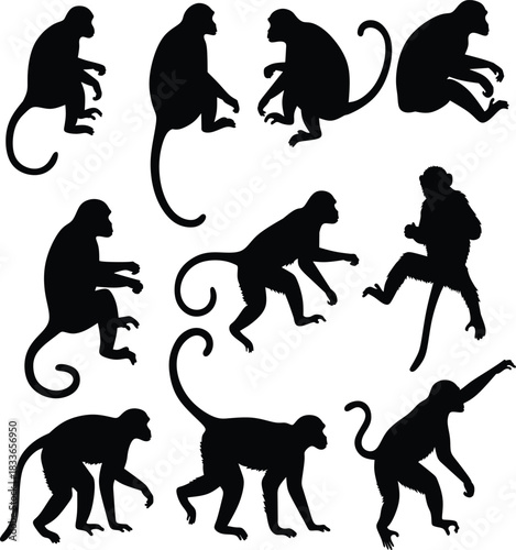 monkey silhouette