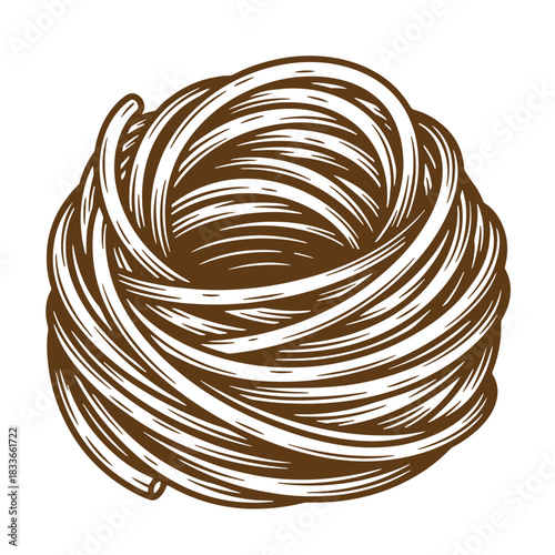 Hand drawn illustration of a bundle of fresh fettuccine pasta isolated on white