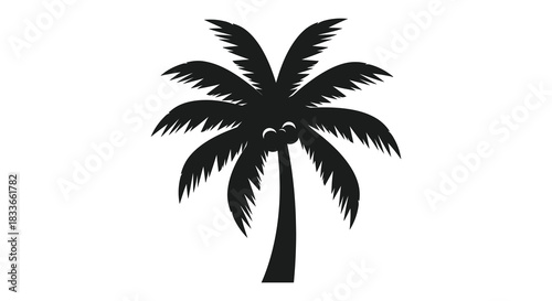 A striking image of a black palm tree against a white backdrop a stark silhouette