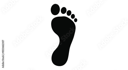 A simple depiction of a human foot s outline against a pure white background silhouette