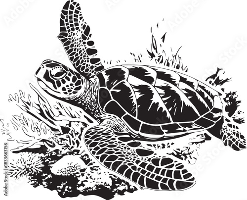 Sea Turtle in the Ocean: A detailed artistic depiction of a sea turtle gracefully navigating the underwater world, surrounded by coral and marine flora. Capturing the wonder of marine life.